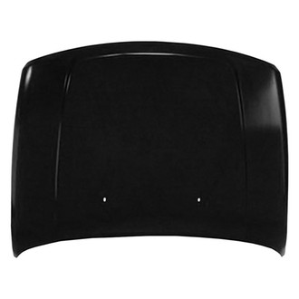 Replace® - Hood Panel (Brand New OE)