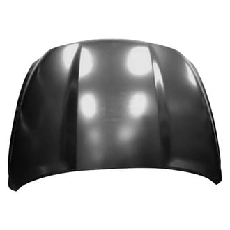 Replace® - Hood Panel (Platinum Plus)