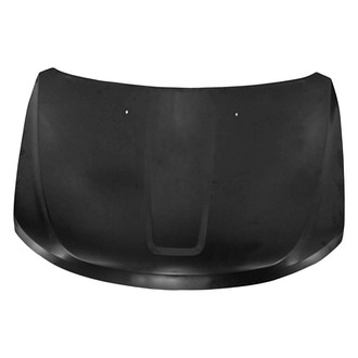 Replace® - Hood Panel (Standard Line)