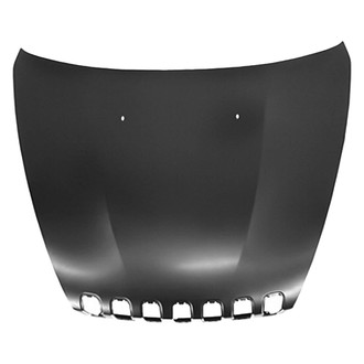 Replace® - Hood Panel (Platinum Plus)