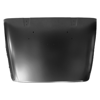 Replace® - Hood Panel (Platinum Plus)