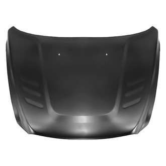 Replace® - Hood Panel (Platinum Plus)