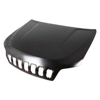 Replace® - Hood Panel (Platinum Plus)
