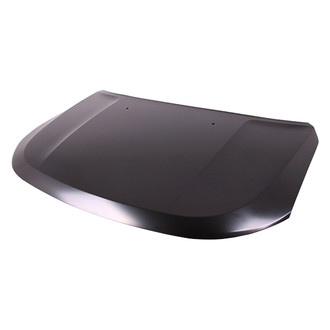 Replace® - Hood Panel (Platinum Plus)