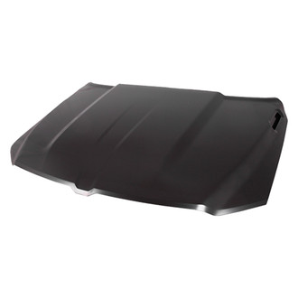 Replace® - Hood Panel (Platinum Plus)