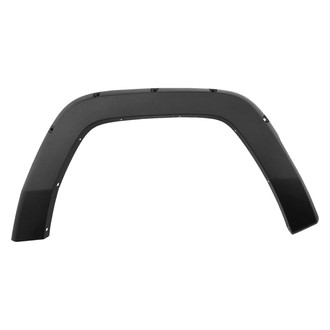 Replace® - Front Passenger Side Fender Flare (Standard Line)