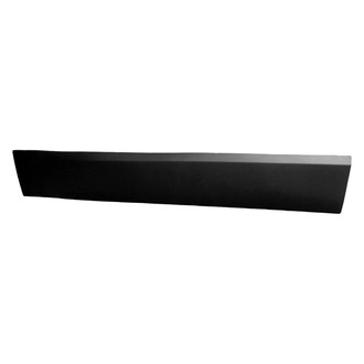 Replace® - Front Driver Side Door Molding (Standard Line)