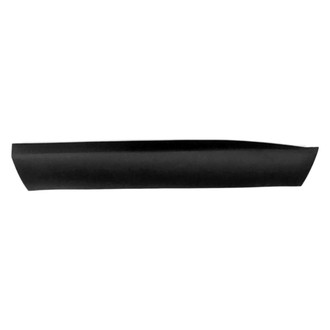 Replace® - Front Passenger Side Door Molding (Standard Line)