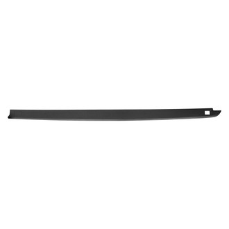 Replace® - Driver Side Bed Side Molding (Standard Line)
