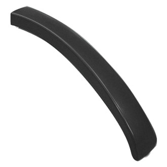 Replace® - Front Lower Outer Passenger Side Bumper Cover Molding (Standard Line)