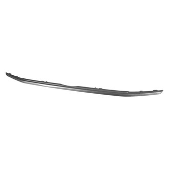 Replace® - Lower Grille Molding (CAPA Certified)