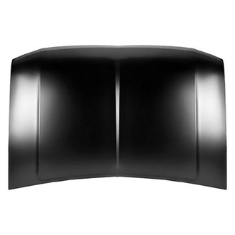 Replace® - Hood Panel (Platinum Plus)