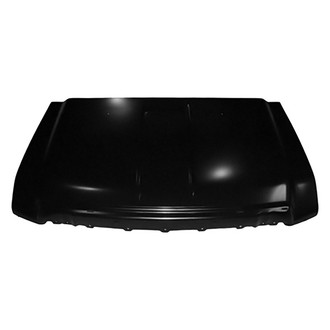 Replace® - Hood Panel (Platinum Plus)