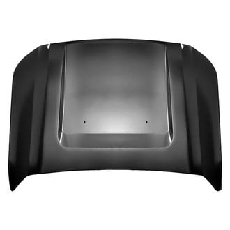 Replace® - Hood Panel (Platinum Plus)