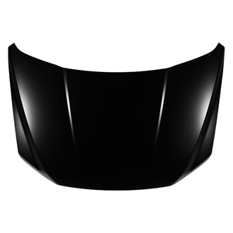 Replace® - Hood Panel (Platinum Plus)