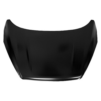 Replace® - Hood Panel (Platinum Plus)