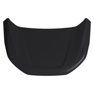 Replace® - Hood Panel (CAPA Certified)