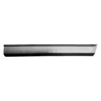 Replace® - Front Passenger Side Door Molding (Standard Line)