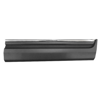 Replace® - Front Passenger Side Door Molding (Standard Line)