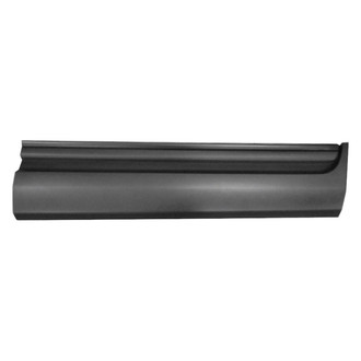 Replace® - Front Passenger Side Door Molding (Standard Line)