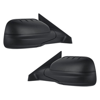 Replace® - Side View Mirror