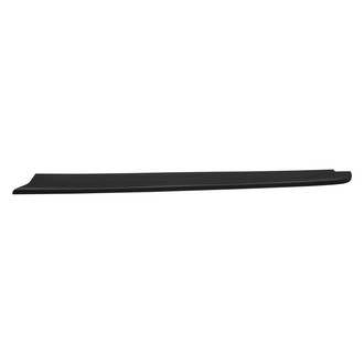 Replace® - Driver Side Body Molding (Standard Line)