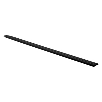 Replace® - Driver Side Body Molding (Standard Line)