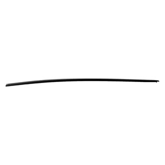 Replace® - Passenger Side Body Molding (Standard Line)