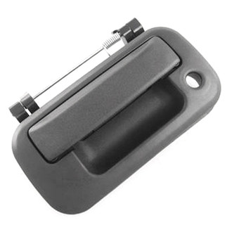 Replace® - Tailgate Handle (Standard Line)