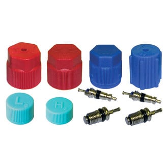 Replace® - A/C System Valve Core and Cap Kit