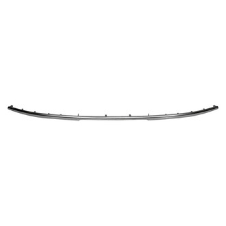 Replace® - Rear Bumper Molding (Standard Line)