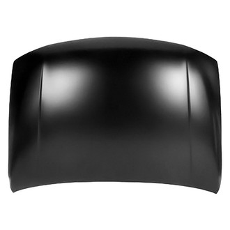 Replace® - Hood Panel (Platinum Plus)