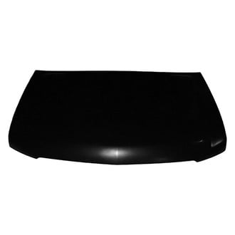 Replace® - Hood Panel (Platinum Plus)