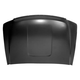 Replace® - Hood Panel (Brand New OE)