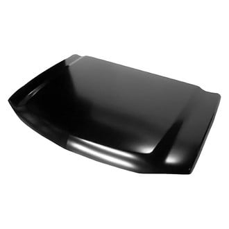 Replace® - Hood Panel (Platinum Plus)