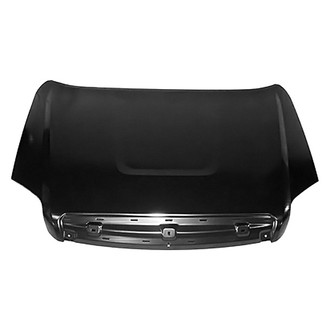 Replace® - Hood Panel (Brand New OE)