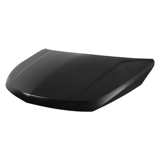 Replace® - Hood Panel (Platinum Plus)