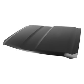 Replace® - Hood Panel (Platinum Plus)