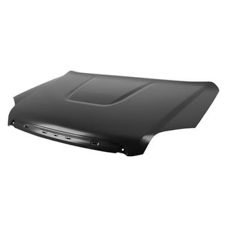 Replace® - Hood Panel (Brand New OE)