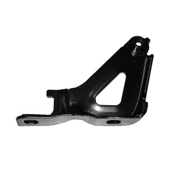 Replace® - Driver Side Hood Hinge