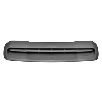 Replace® - Hood Panel Insert (Standard Line)