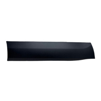 Replace® - Front Driver Side Door Molding (Standard Line)