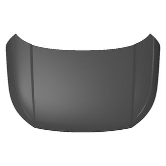 Replace® - Hood Panel (Standard Line)