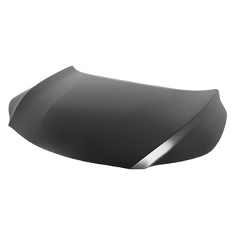 Replace® - Hood Panel (Platinum Plus)