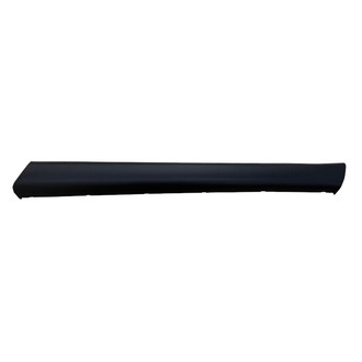 Replace® - Front Passenger Side Door Molding (Standard Line)
