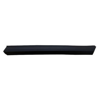 Replace® - Front Passenger Side Door Molding (Standard Line)