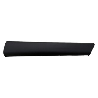 Replace® - Rear Passenger Side Door Molding (Standard Line)