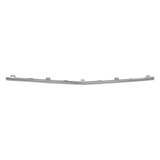 Replace® - Front Center Bumper Cover Molding (Standard Line)