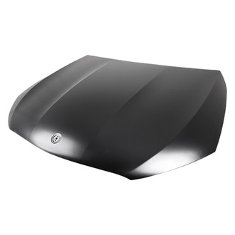 Replace® - Hood Panel (Standard Line)