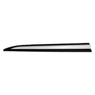 Replace® - Front Driver Side Door Molding (Standard Line)